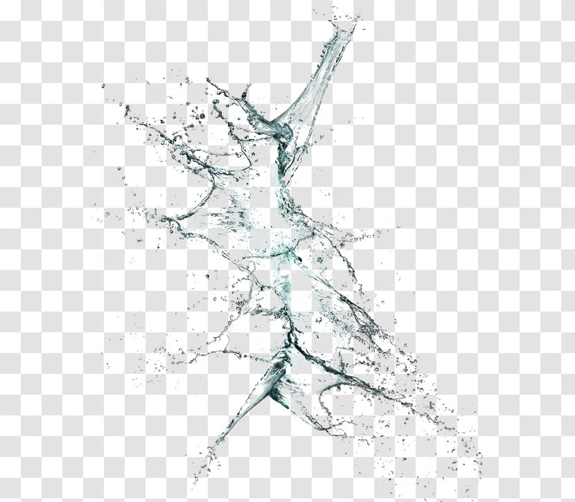Water Splash Drop - Line Art - Of Droplets Transparent PNG