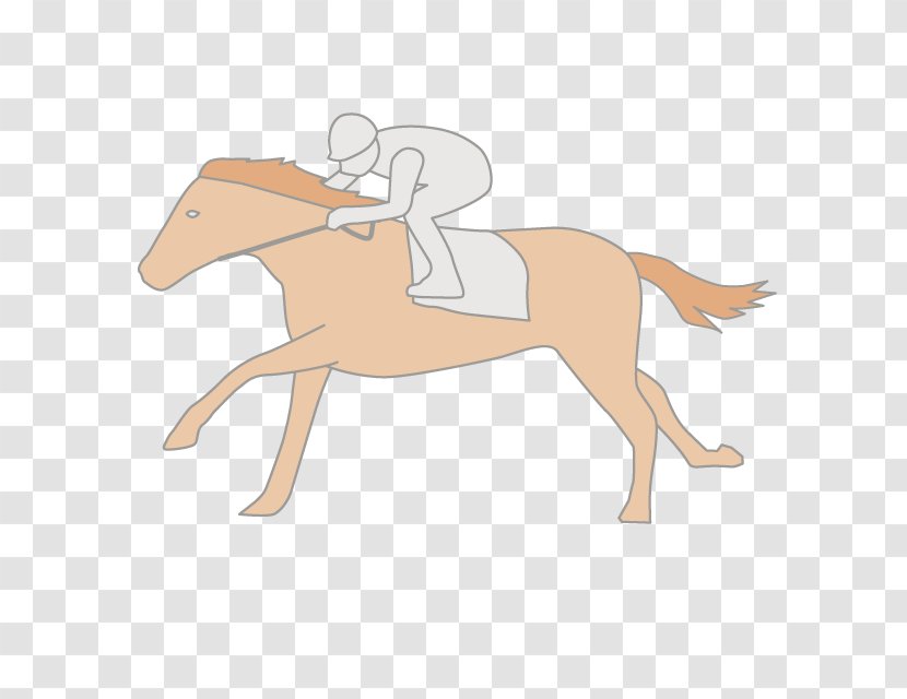 Foal Mustang Stallion Colt Rein - English Riding Transparent PNG