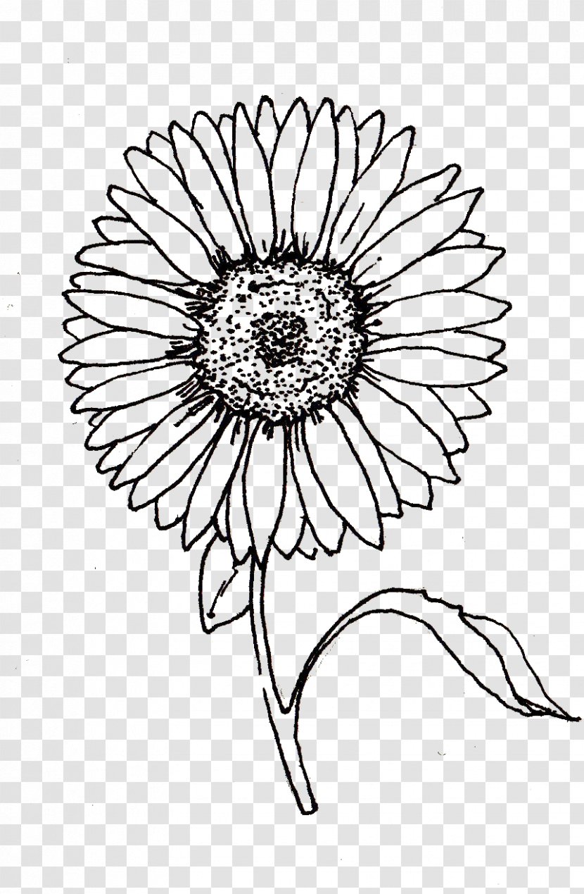 Drawing Line Art Visual Arts - Safesearch - Sunflower Oil Transparent PNG