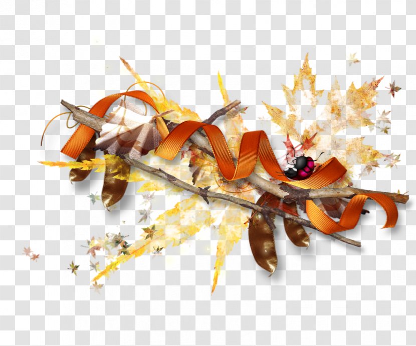 Insect Seafood Pest - Animal Source Foods Transparent PNG