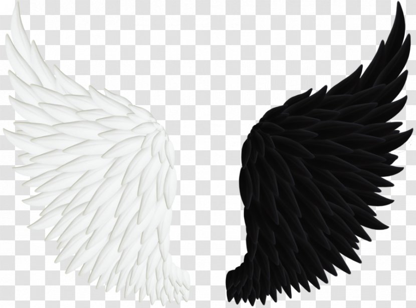 Angel Clip Art - Black And White Wings Transparent PNG