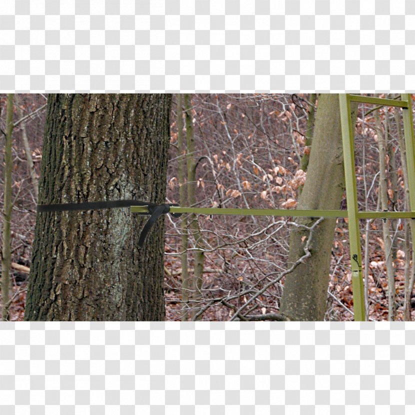 Tree Stands Hunting Weapon Oak - Ideal - Handsaw Transparent PNG