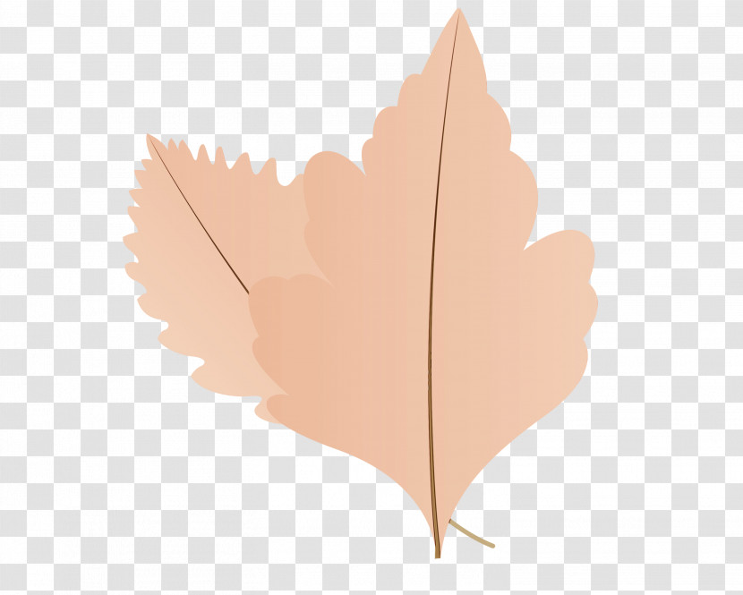 Maple Leaf Transparent PNG