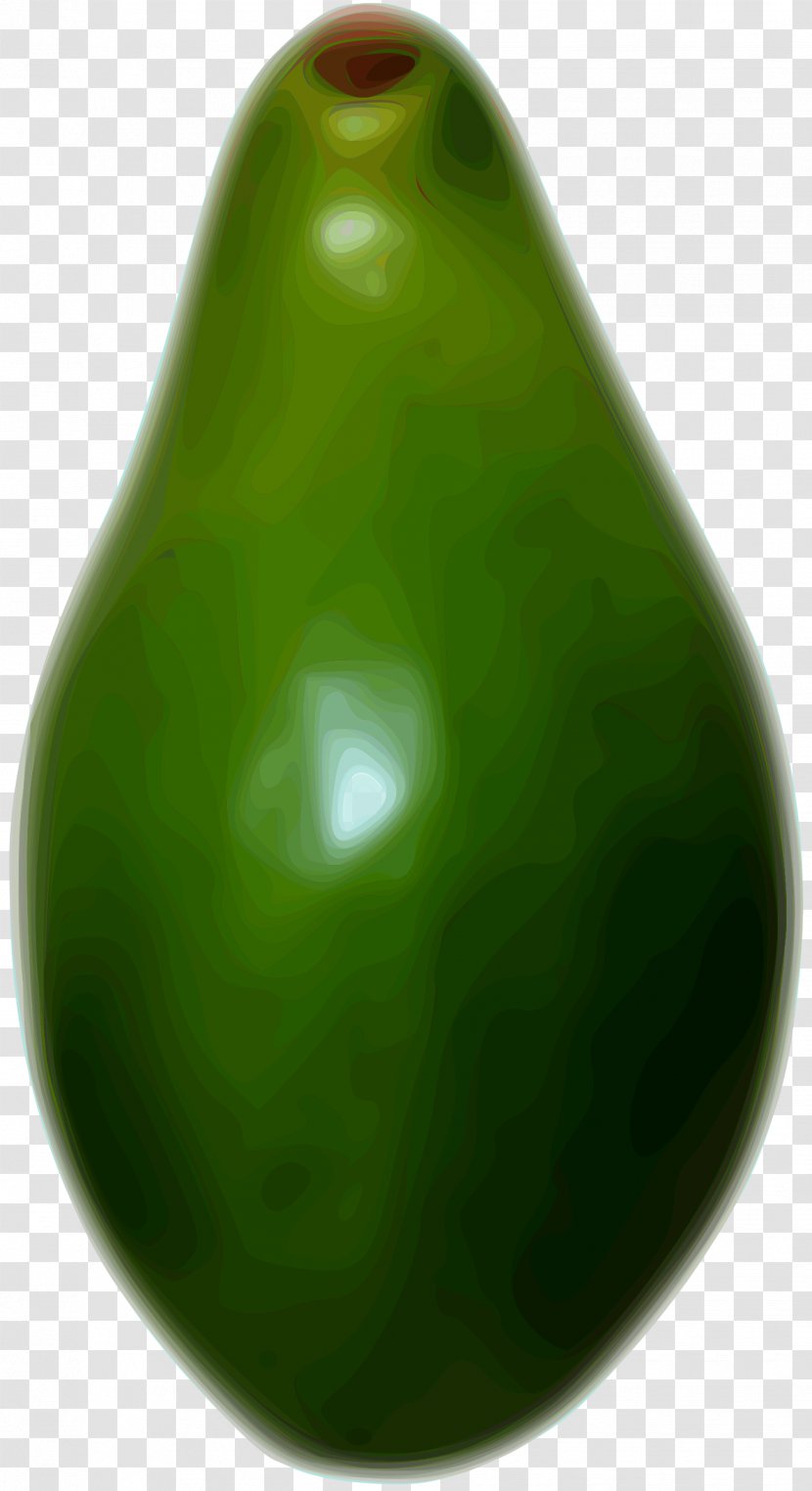Vegetable Gourd Fruit Jade - Avocado Transparent PNG