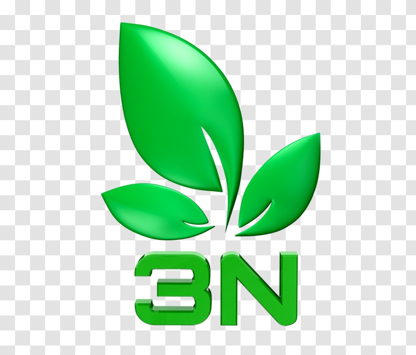 Logo Product Leaf Clip Art Brand - Symbol Transparent PNG