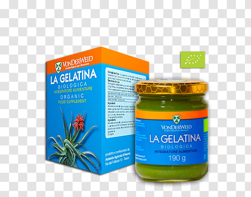 Dietary Supplement Candelabra Aloe Vera Gelatin Plant - Rosa Mosqueta Transparent PNG