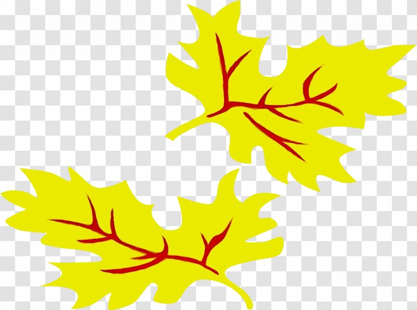 Autumn Leaf Drawing - Plane - Silver Maple Transparent PNG