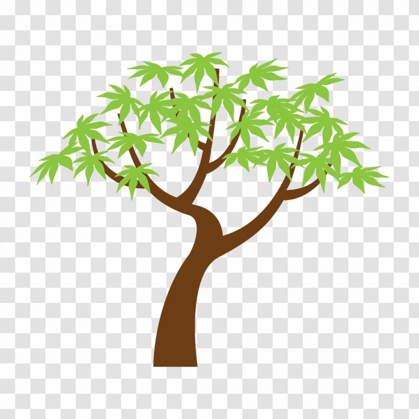 Tree Branch Leaf Plant Green - Woody - Stem Transparent PNG
