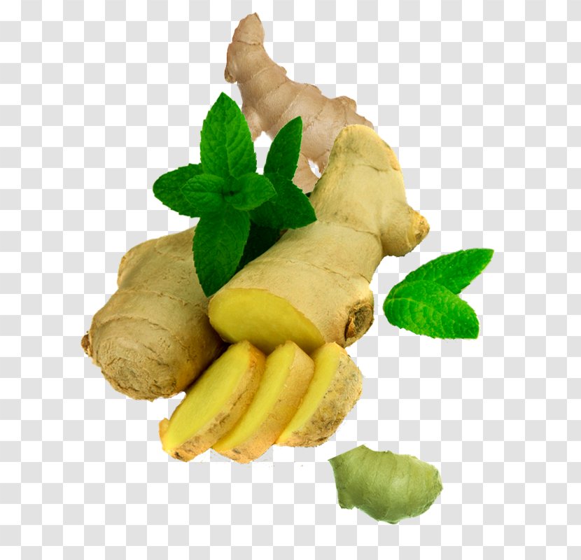 Ginger Icon - Zingiberaceae - Creative Sliced ​​ginger Transparent PNG