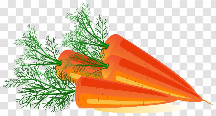 Carrot Stock Photography Clip Art - Baby Transparent PNG