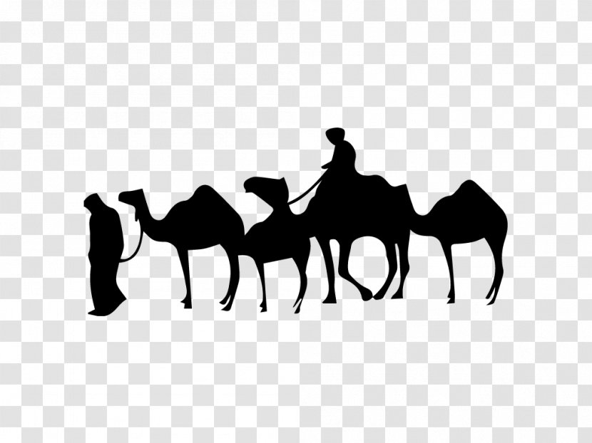 Dromedary Mustang Stallion Untitled Supper Club - Silhouette - كل عام و انتم بخير Transparent PNG