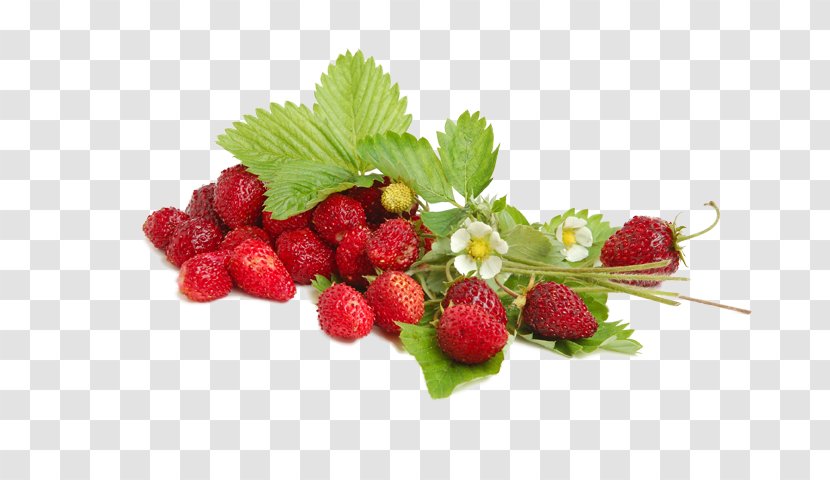 Fragolino Wild Strawberry Liqueur - Berry Transparent PNG