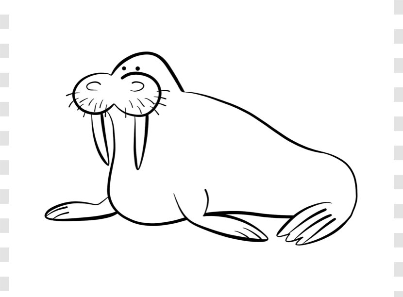 Wally Walrus Coloring Book Cuteness Clip Art - Line - Pictures Transparent PNG