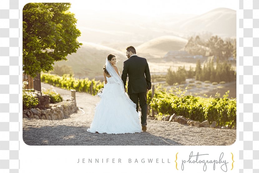 Viansa Sonoma Winery & Tasting Room Wedding Photograph Wine Country Court - Lavender Transparent PNG