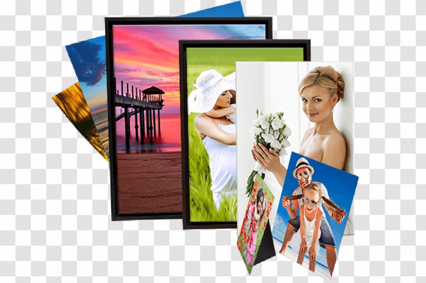 Canvas Print Photography Printing Photographic Paper Poster - Posters Cosmetics Transparent PNG