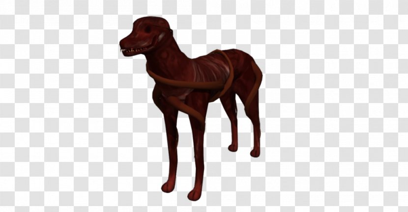 Mustang Stallion Dog Rein Halter - Horse Tack Transparent PNG