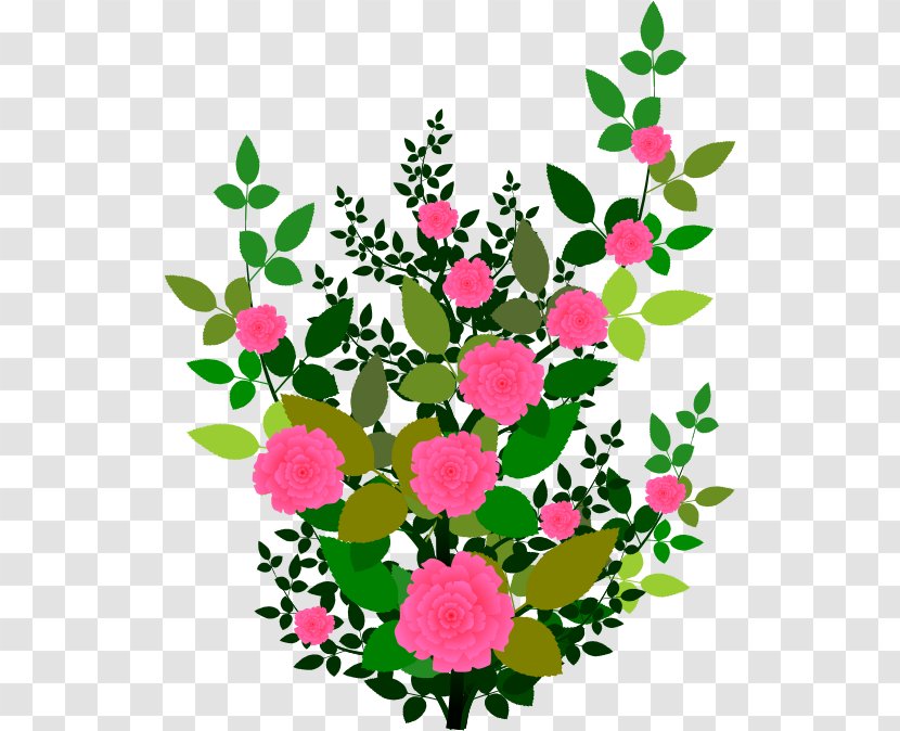 Rose Shrub Plant Flower Clip Art - Pink - BUNGA Transparent PNG