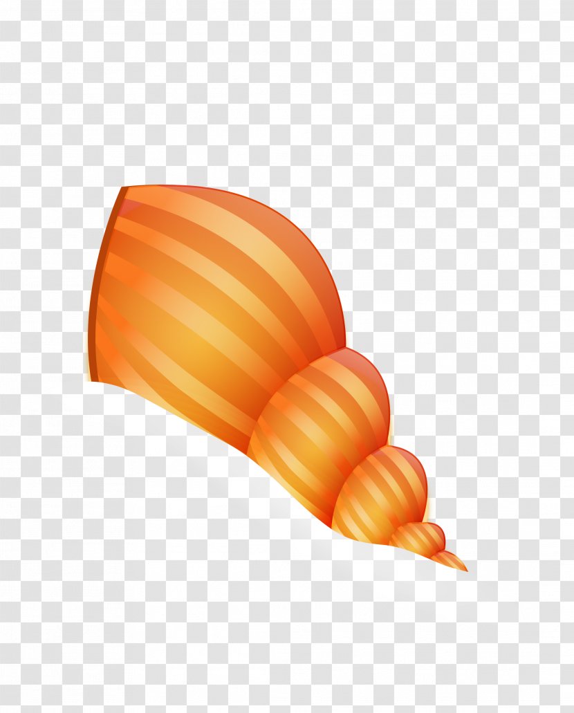 Conch Sea Snail Organism - Vector Golden Marine Transparent PNG