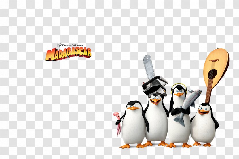 Kowalski Skipper Madagascar Animation Film - Penguins Transparent PNG