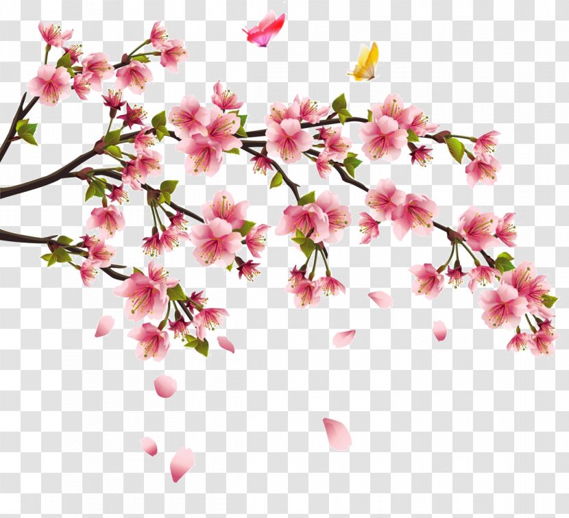 China Cherry Blossom Tattoo Flower Transparent PNG
