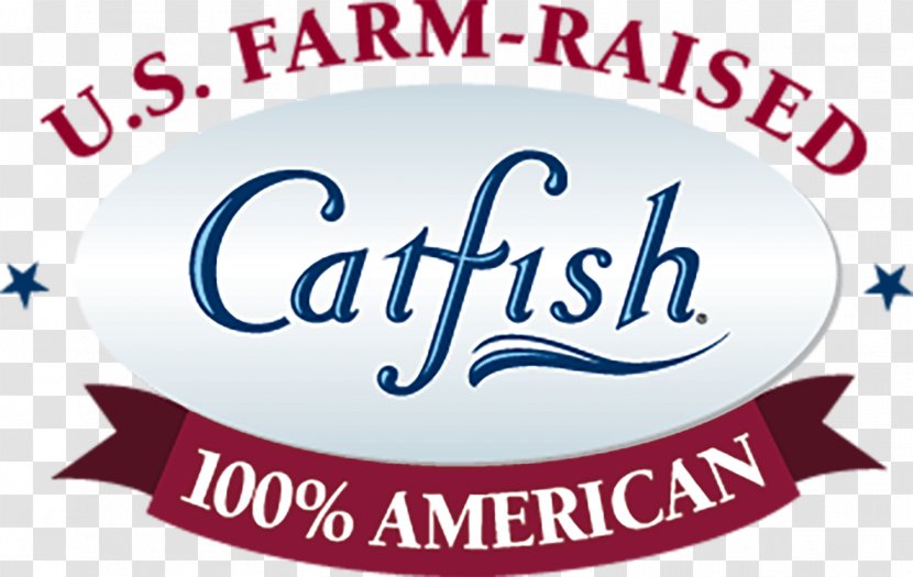 Catfish Institute Aquaculture Of Business Visiting Card Transparent PNG