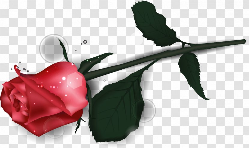 Garden Roses Valentine's Day - Graphic Arts - Romantic Transparent PNG