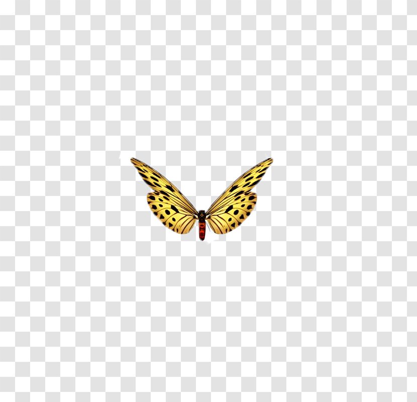 Monarch Butterfly - Paintshop Pro - Butterfly,insect,specimen Transparent PNG