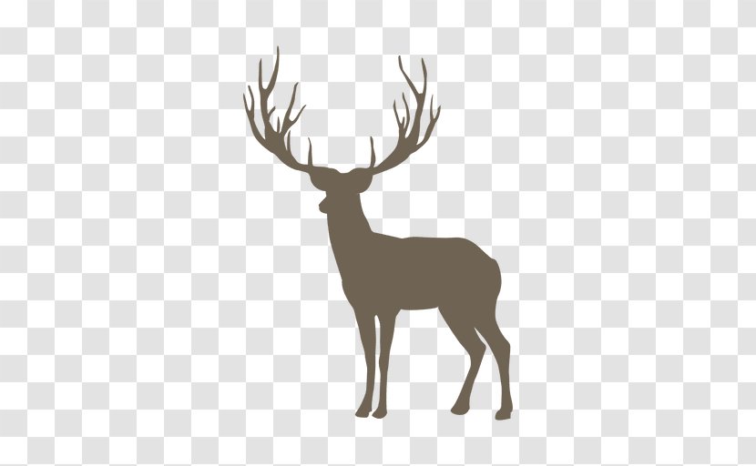 Deer Antlers - Autocad Dxf - Wildlife Transparent PNG