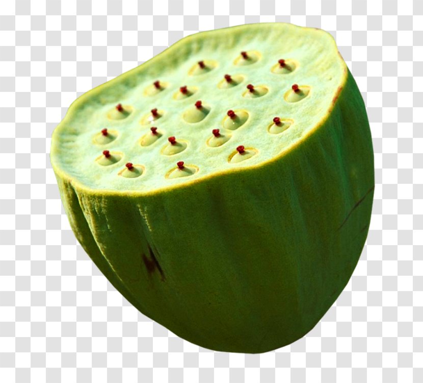 Nelumbo Nucifera Lotus Seed Watermelon - Superfood - Shower Transparent PNG