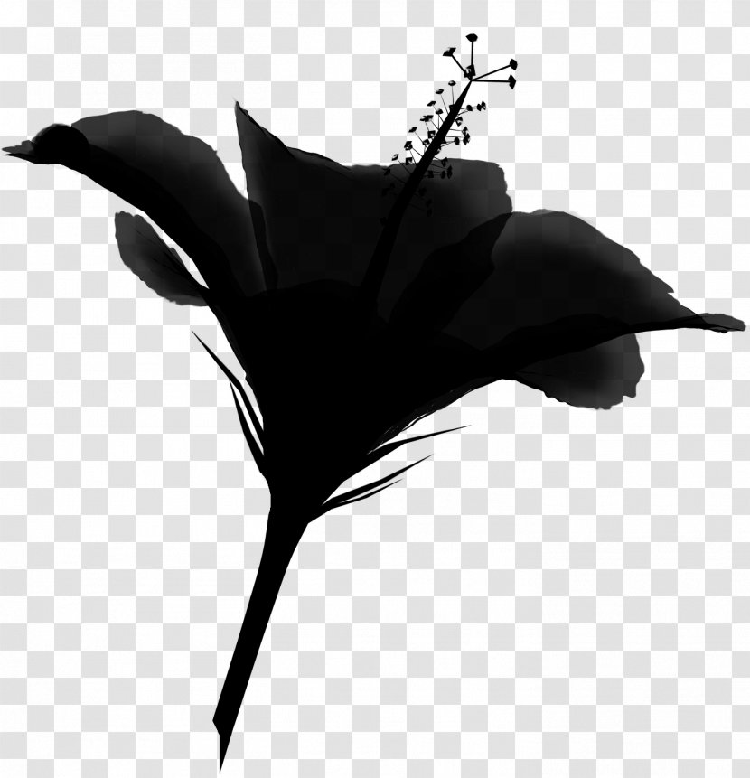 Leaf Silhouette Flower - Blackandwhite Transparent PNG