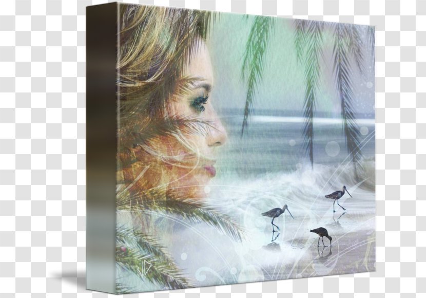 Watercolor Painting Picture Frames - Stock Photography - Beach Scene Transparent PNG