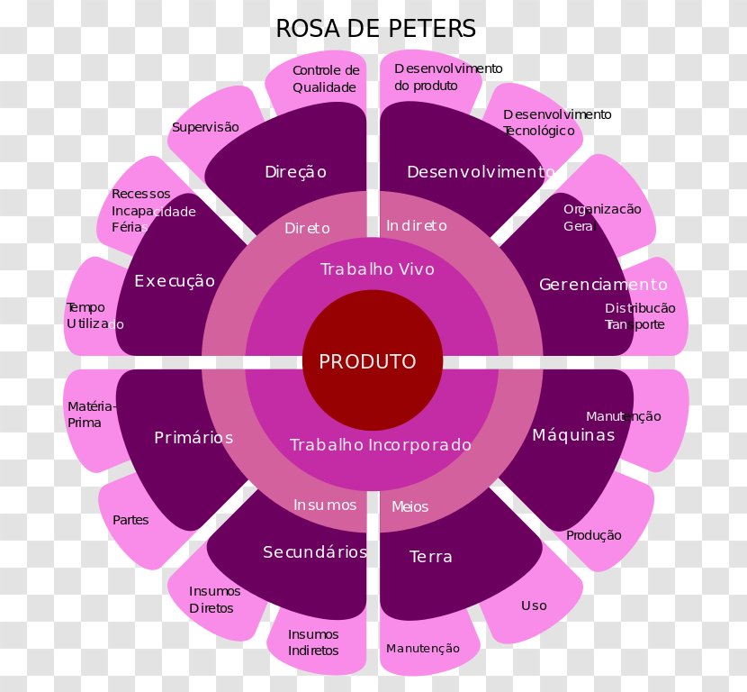 Peters Rose Vectors Socialism Of The 21st Century Wikipedia Product - Value Transparent PNG