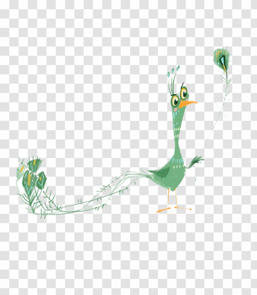 Peafowl Illustration - Lint Peacock Transparent PNG