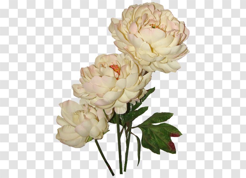 Garden Roses Flower Bouquet Floral Design Cut Flowers - Rose Transparent PNG