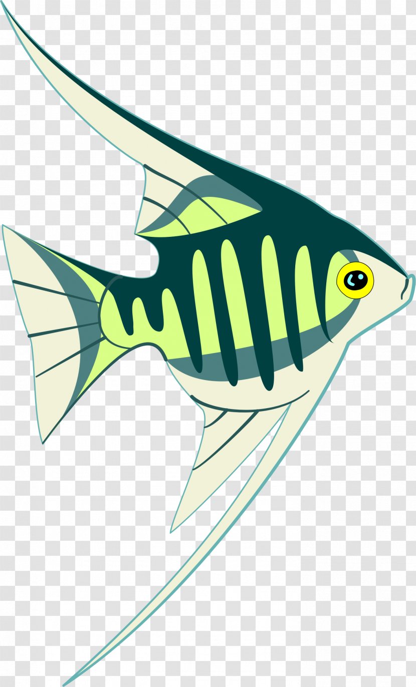CorelDRAW Cdr Drawing Clip Art - Fish - Corel Transparent PNG