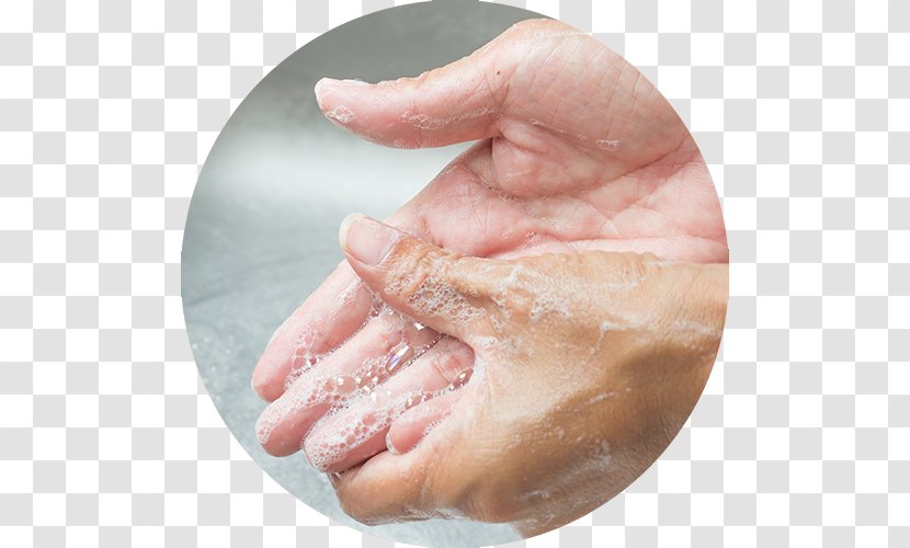 Hand Washing Pinworm Infection Soap Health Transparent PNG