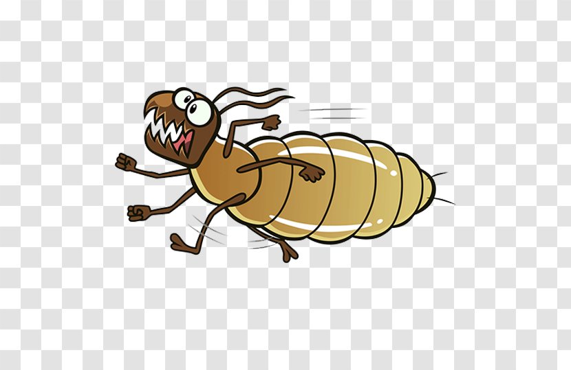 Clip Art Vector Graphics Termite Insect Ant - Pest Transparent PNG
