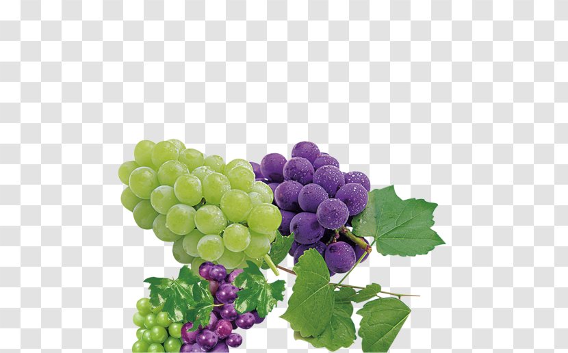 Sultana Grape Purple Auglis Seedless Fruit - Vitis - Grapes And Transparent PNG
