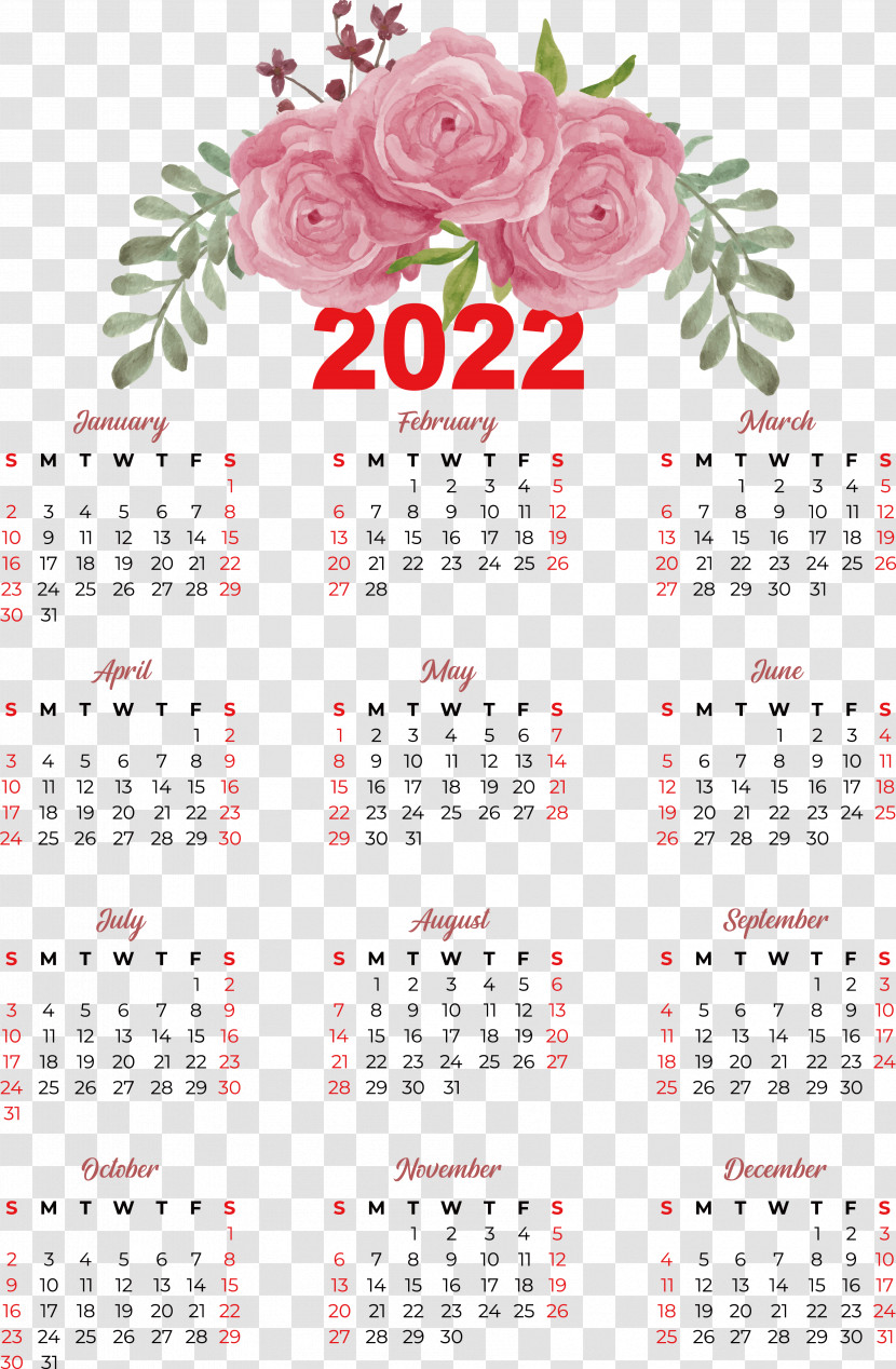 Flower Calendar Meter Plant Science Transparent PNG