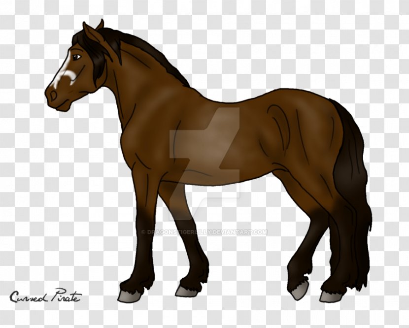 Mare Foal Mane Mustang Stallion - Colored Cross Friesian Stallions Transparent PNG