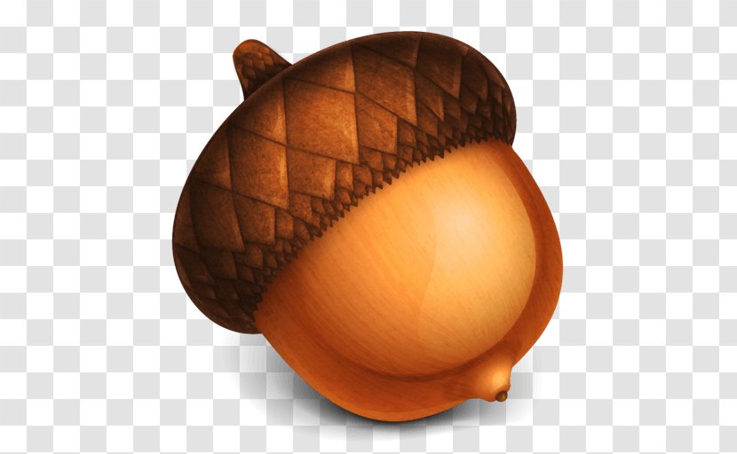 Acorn Clip Art - Image Editing - Acorns Transparent PNG