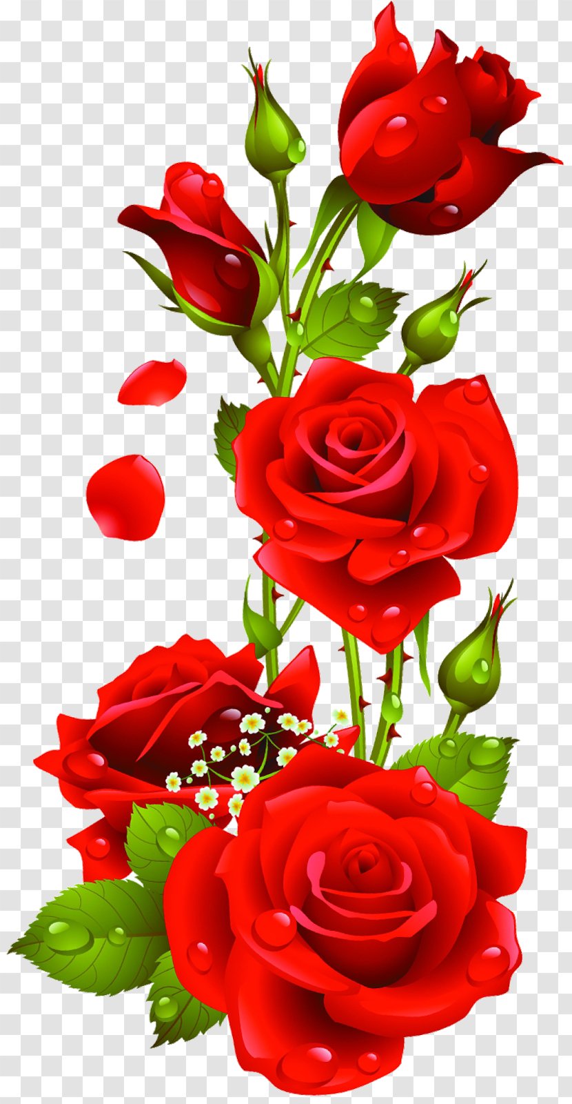 Rose Flower Clip Art - Floral Design - Radha Krishna Transparent PNG