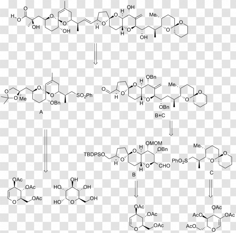 Okadaic Acid Protein Phosphatase Toxin Fatty - Text - Serinethreonine Transparent PNG