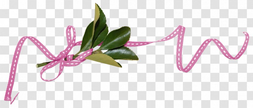 Ribbon Flower Clip Art - Cut Flowers Transparent PNG