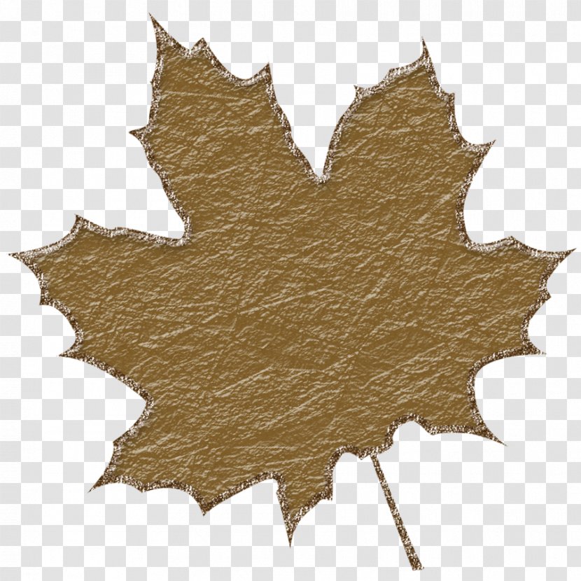 Greater Sudbury Kiosk Language Centre Winstanley College Toronto - Plant - Maple Leaf Transparent PNG