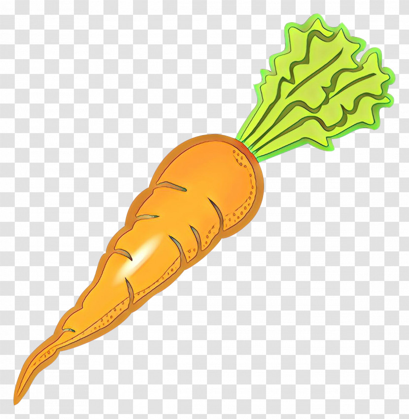Carrot Vegetable Daikon Root Vegetable Plant Transparent PNG