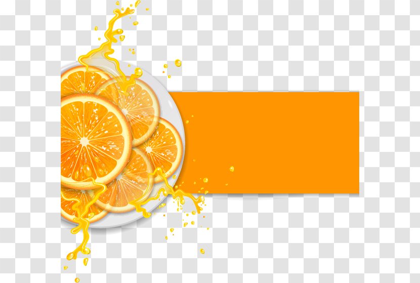 Orange Juice Illustration - Fresh Lemon Fruit Vector Material Transparent PNG