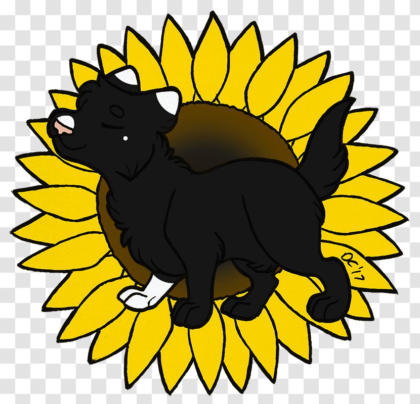 Whiskers Puppy Cat Dog Breed - Sunflower Seed Transparent PNG