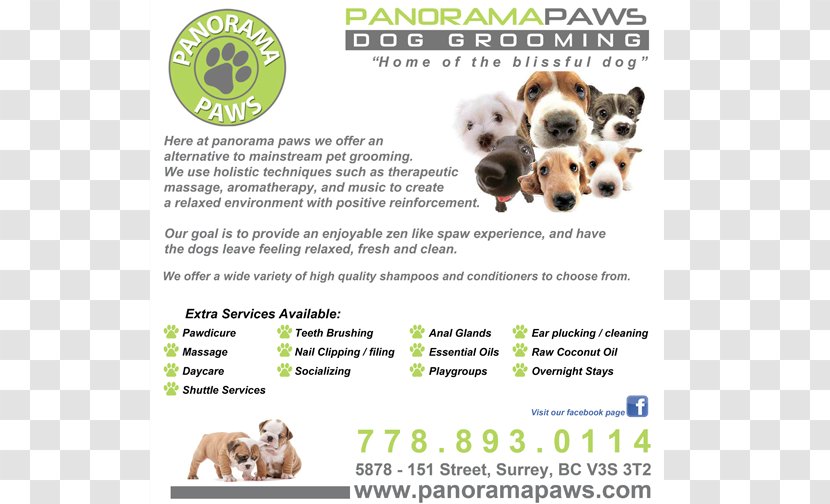 Dog Breed Website Development Poster Design - Like Mammal Transparent PNG