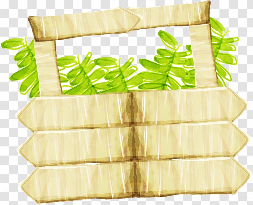 Art Plant Illustration - Flower - Baskets Transparent PNG